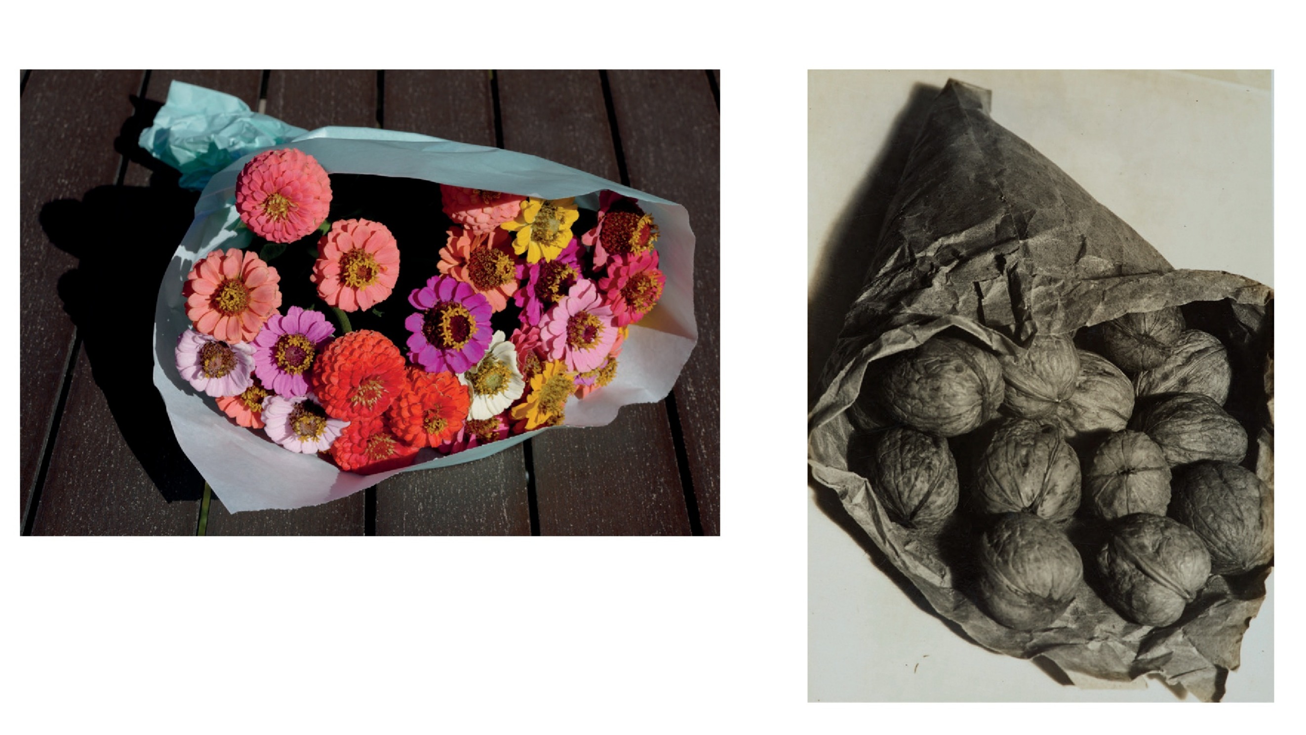  amnesia-gera-gegenberstellung