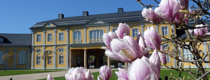 Orangerie mit Tulpenbaum