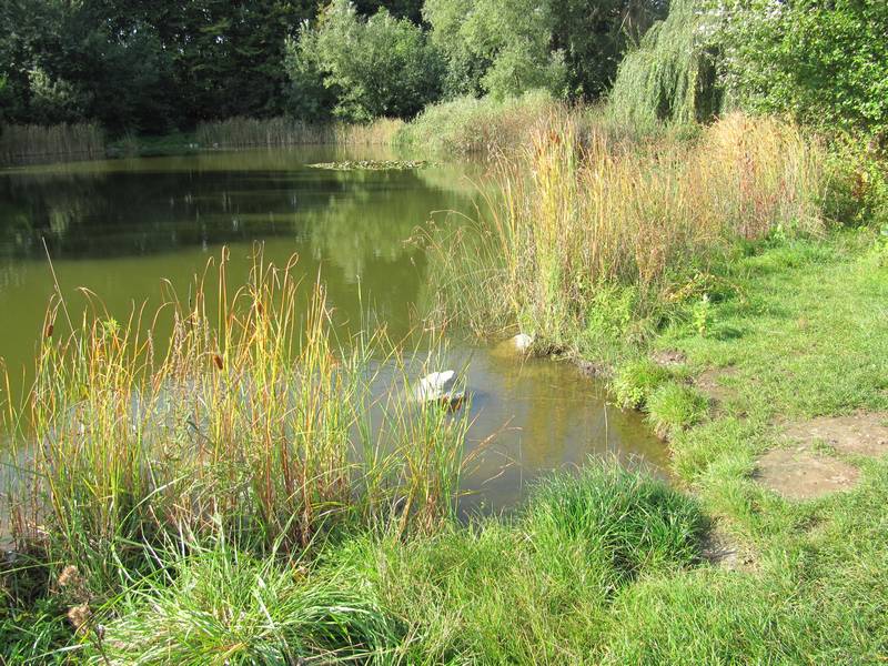 Landschaftsschutzgebiet Zaufensgraben