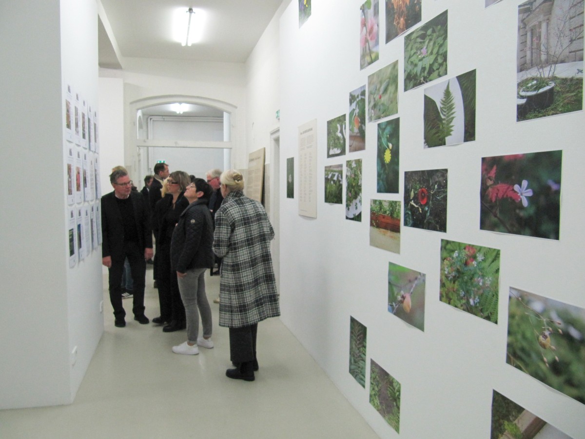 Der_Bevoelkerung_25Jahre