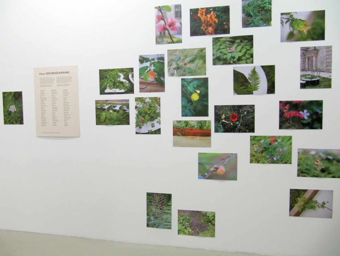 Der_Bevoelkerung_25Jahre