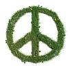 PeaceZeichen