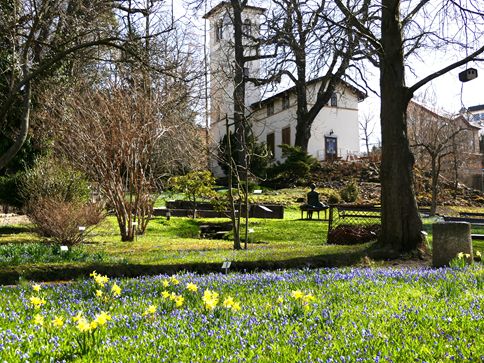 Botanischer_Garten_25