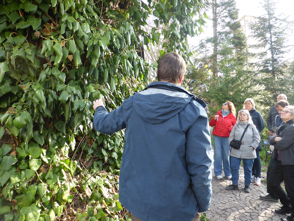 Garteneroeffnung_2025