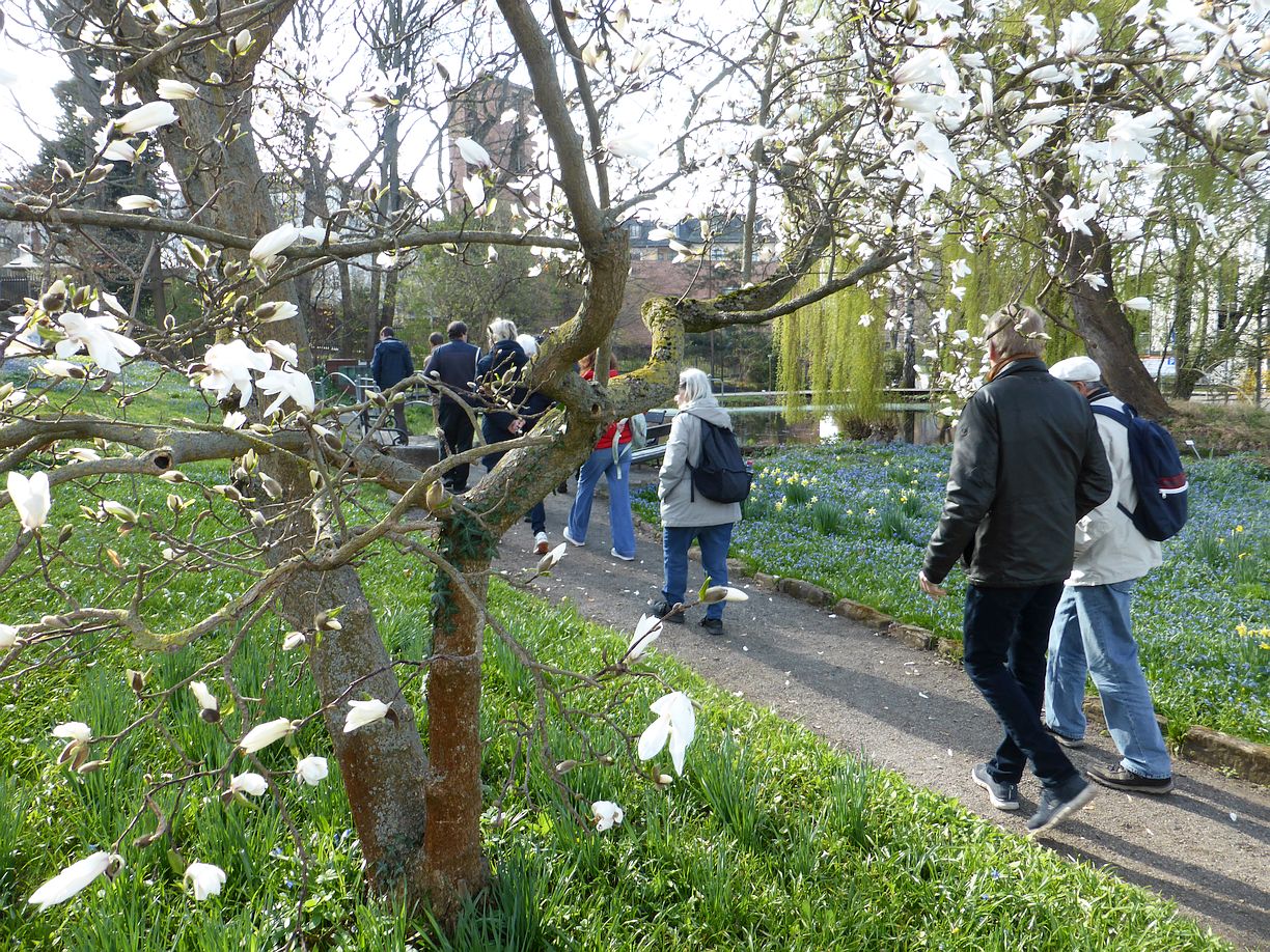 Garteneroeffnung_2025