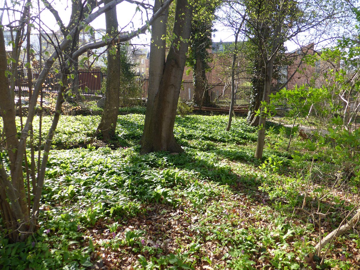 Garteneroeffnung_2025