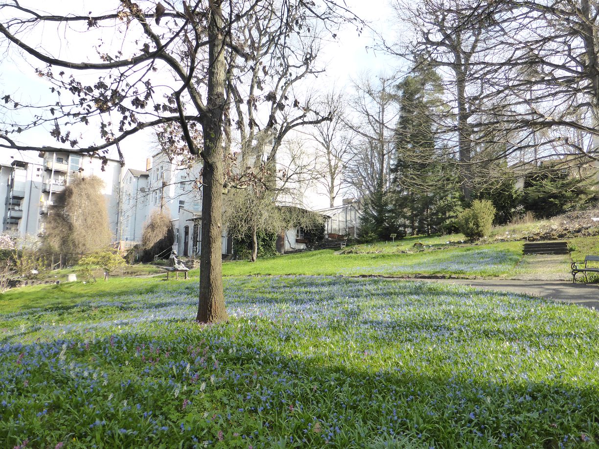 Garteneroeffnung_2025