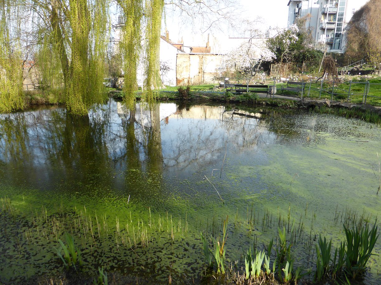 Garteneroeffnung_2025