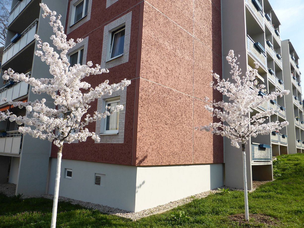 Garteneroeffnung_2025