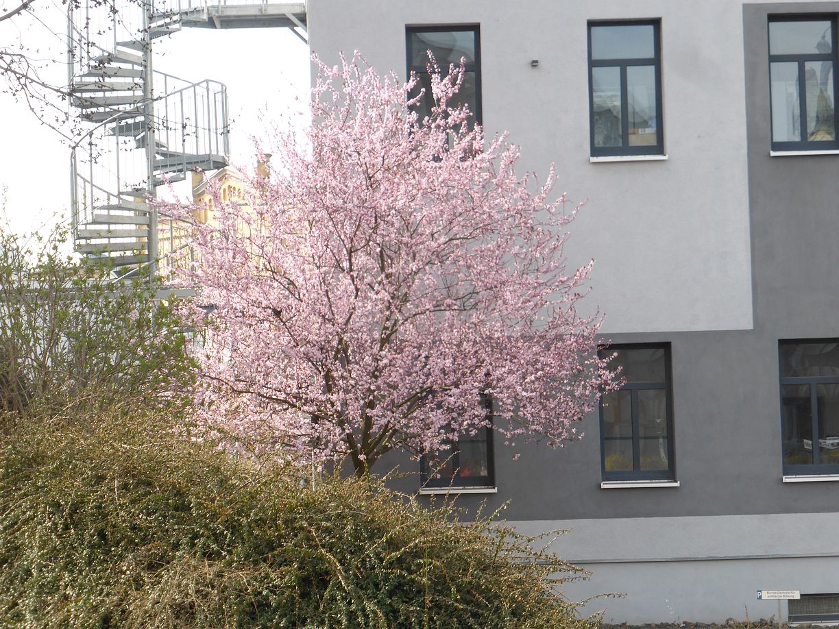 Garteneroeffnung_2025