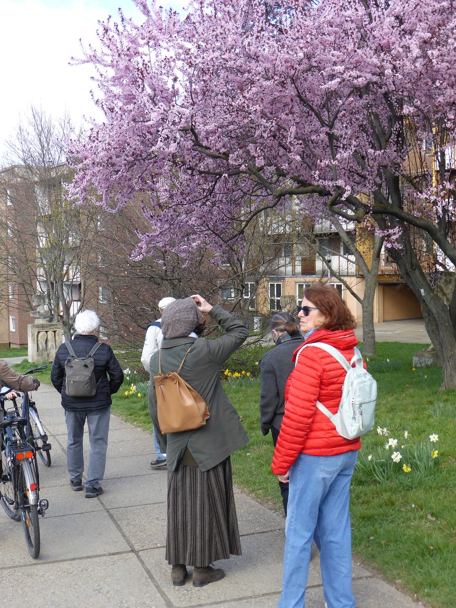 Garteneroeffnung_2025