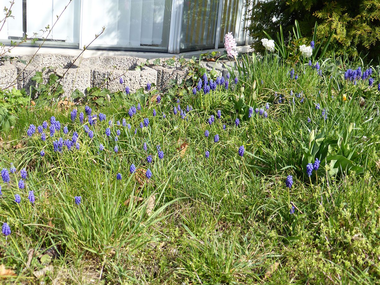 Garteneroeffnung_2025