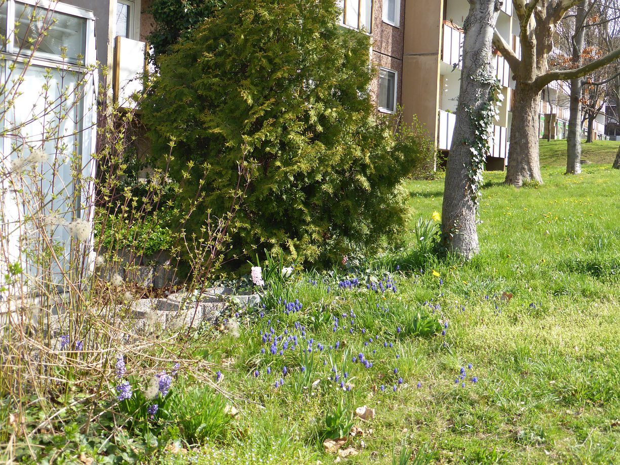 Garteneroeffnung_2025