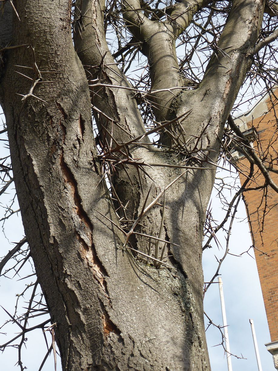 Garteneroeffnung_2025