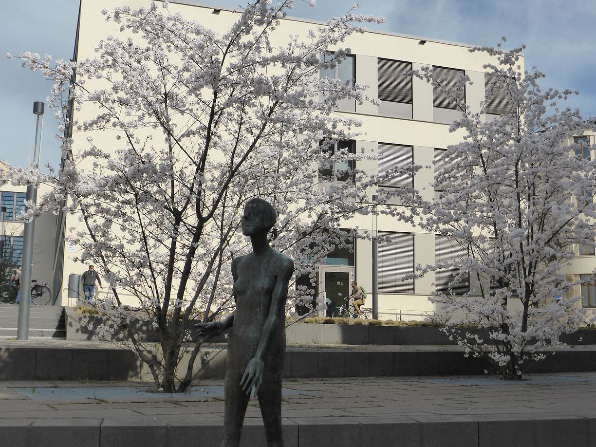 Garteneroeffnung_2025