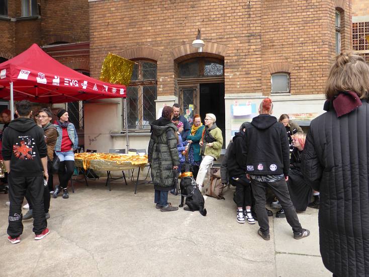 Gold_statt_Braun_2023-05-07