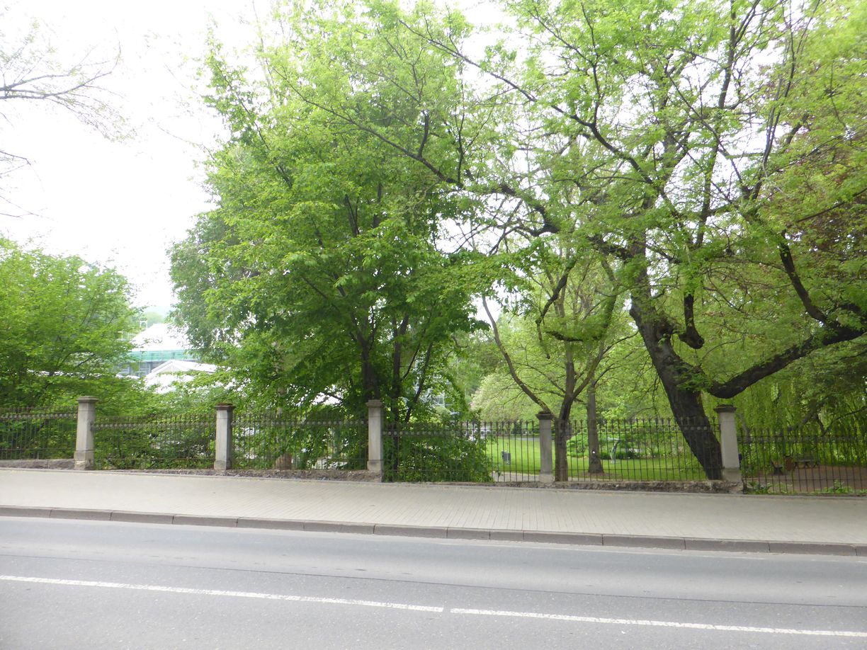 Jena_Botanischer_Garten_2025