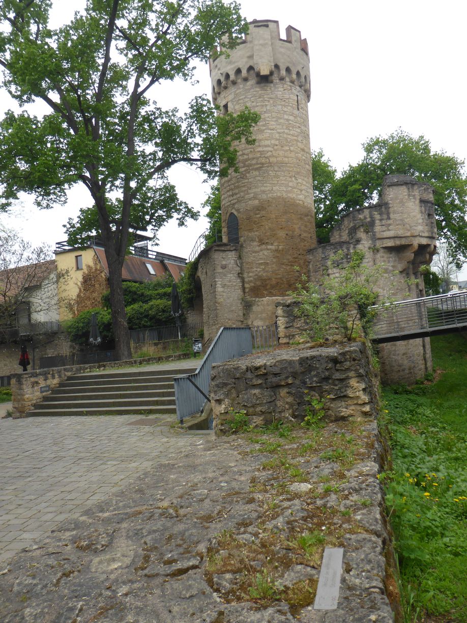 Jena_Botanischer_Garten_2025