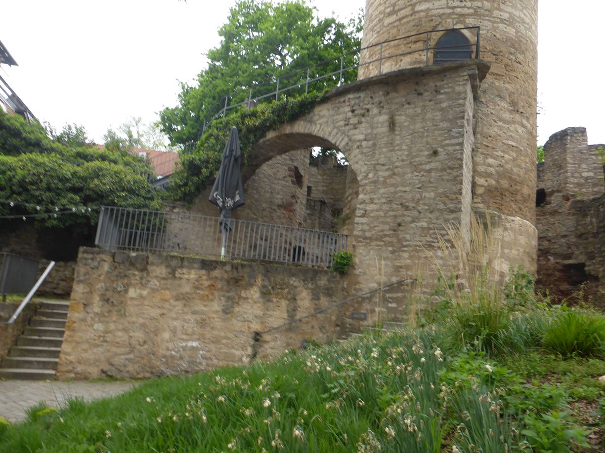 Jena_Botanischer_Garten_2025