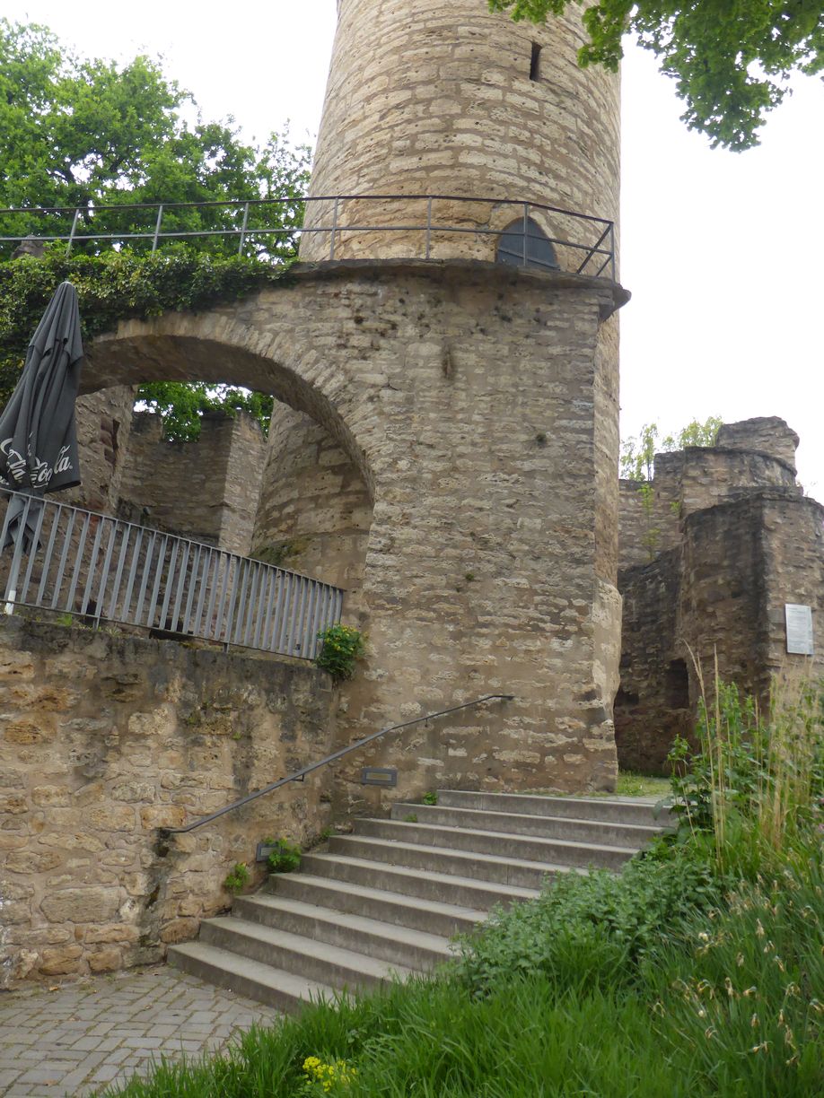 Jena_Botanischer_Garten_2025