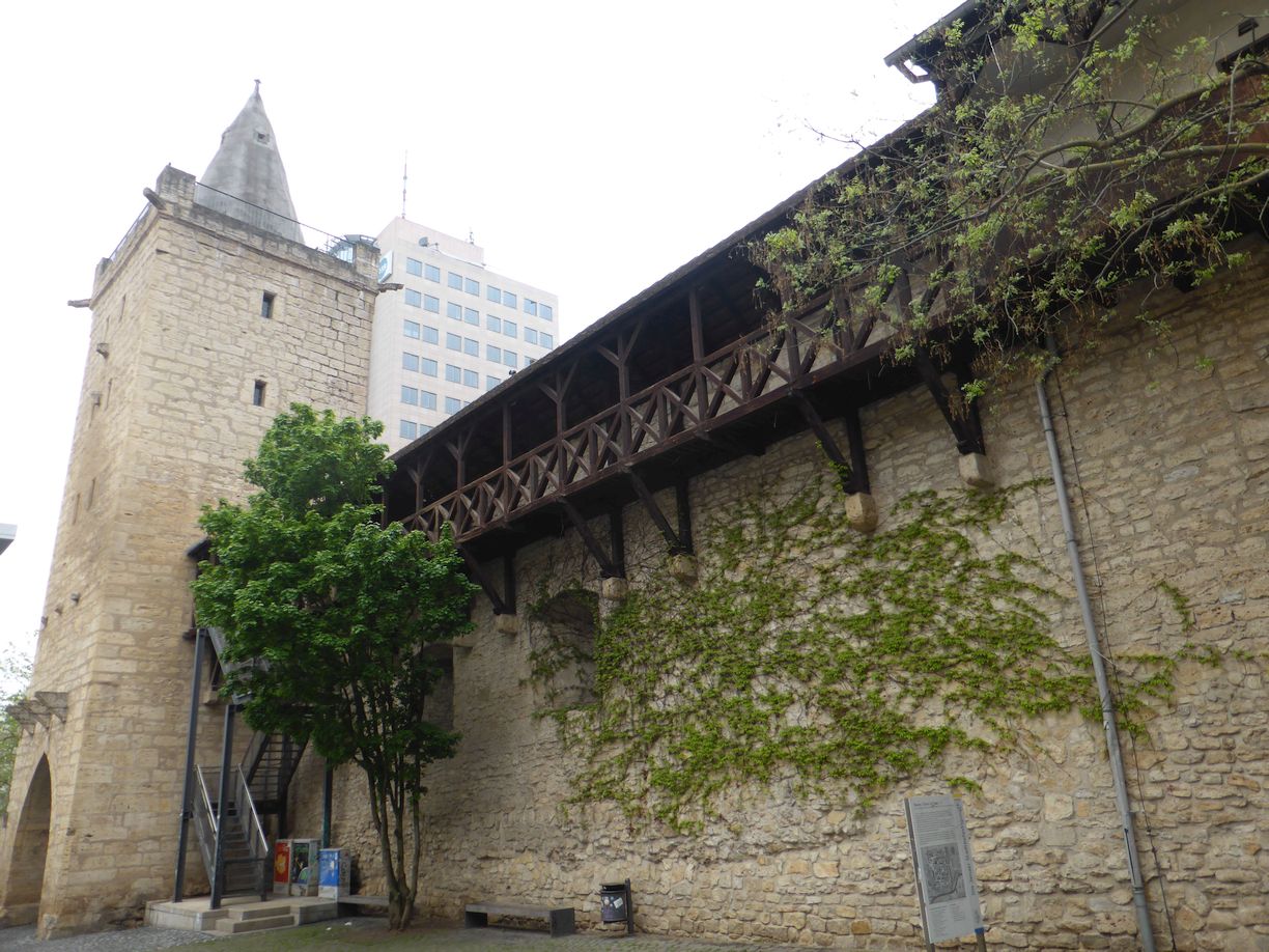 Jena_Botanischer_Garten_2025