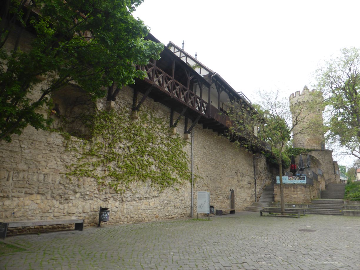 Jena_Botanischer_Garten_2025