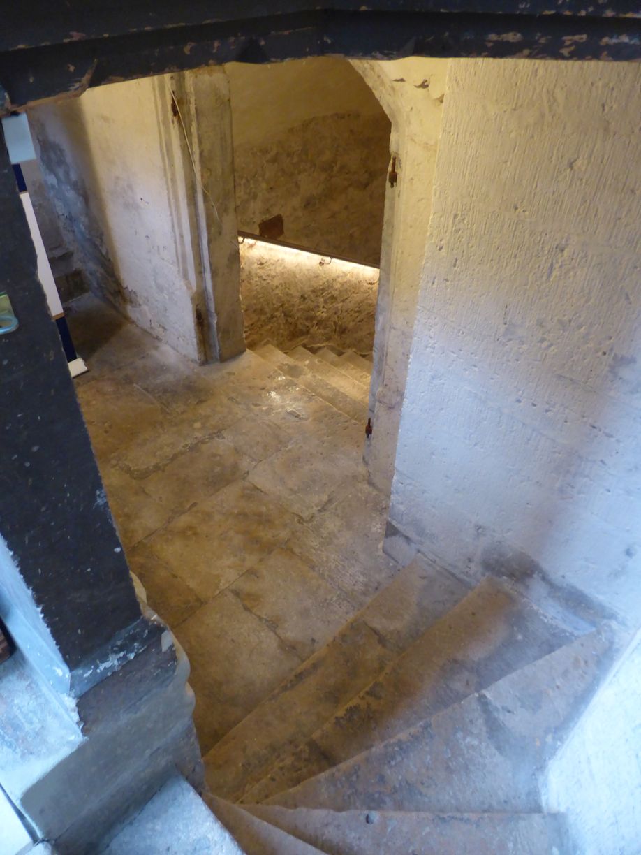 Jena_Botanischer_Garten_2025