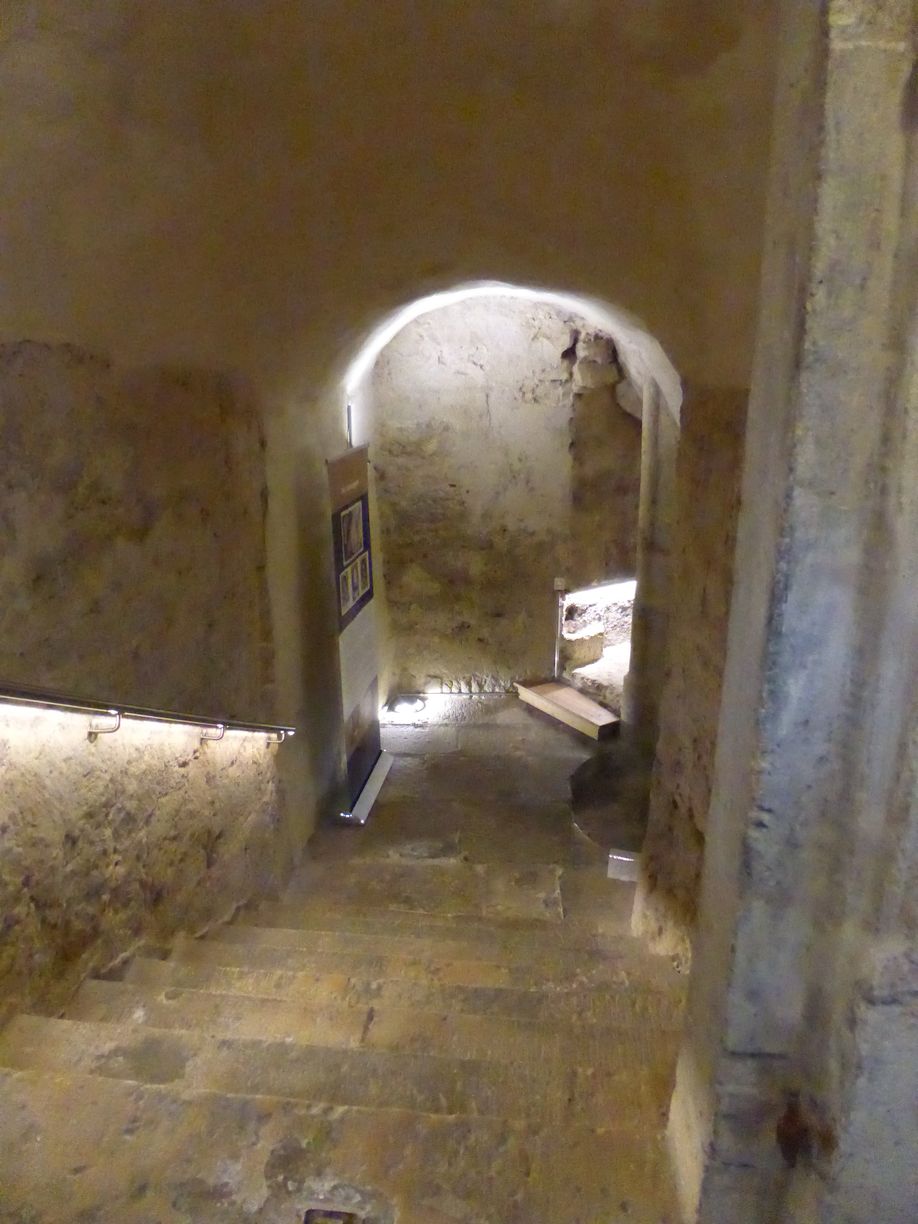 Jena_Botanischer_Garten_2025