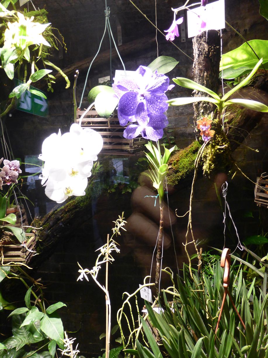 Jena_Botanischer_Garten_2025