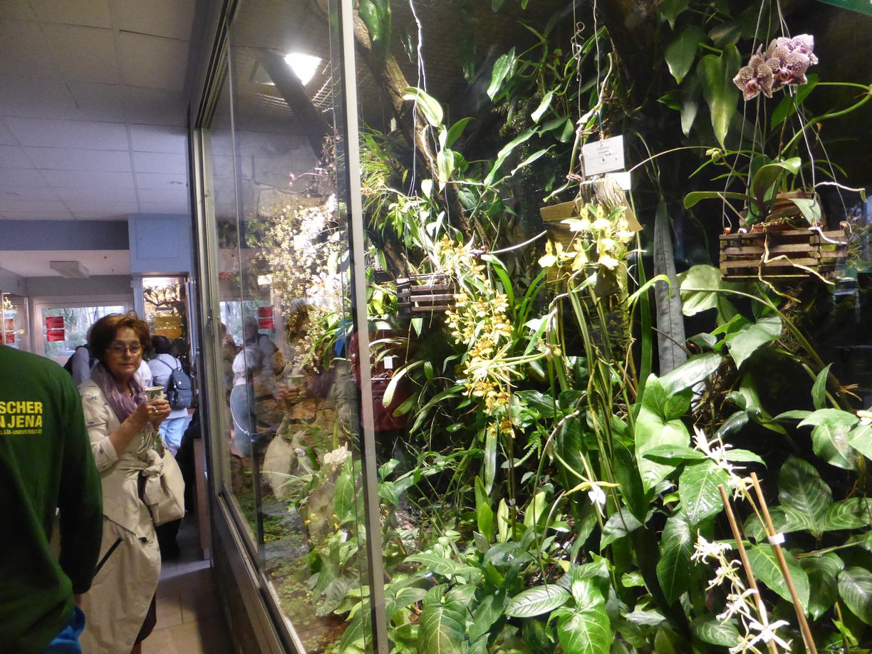 Jena_Botanischer_Garten_2025