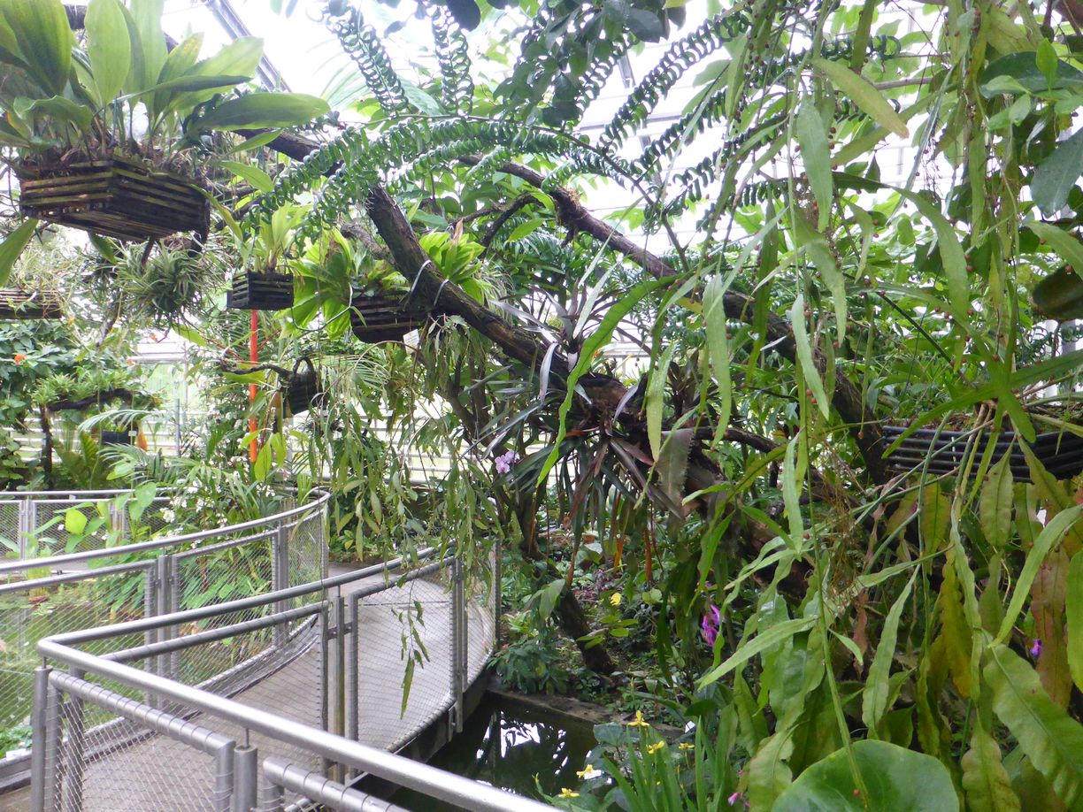 Jena_Botanischer_Garten_2025