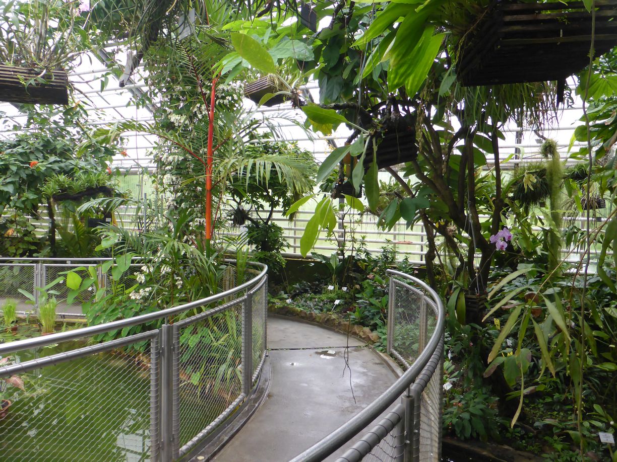 Jena_Botanischer_Garten_2025