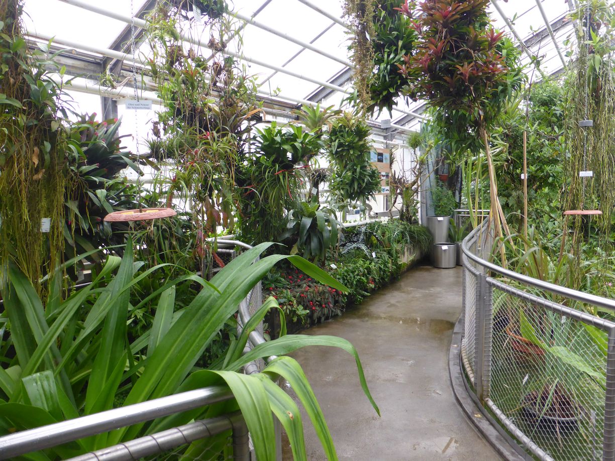Jena_Botanischer_Garten_2025