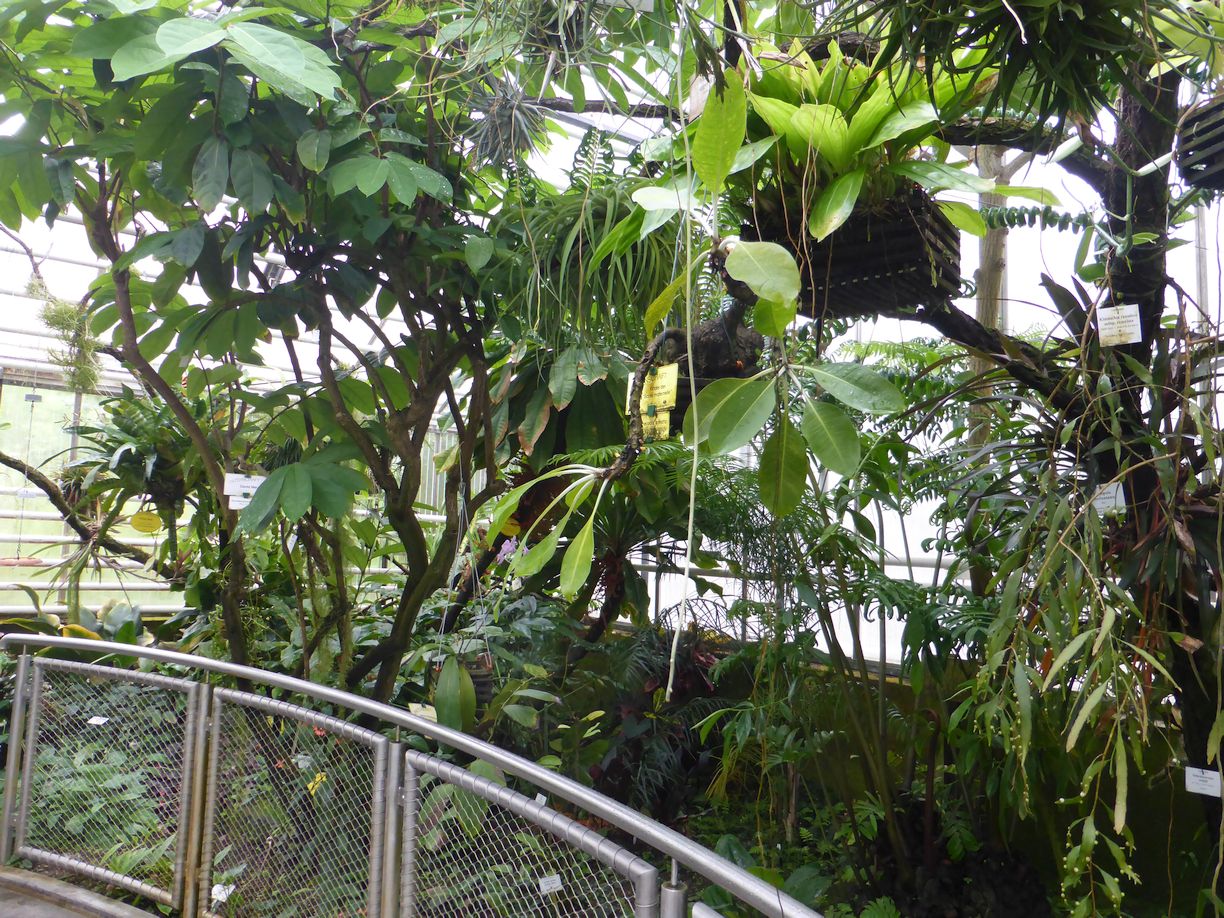 Jena_Botanischer_Garten_2025