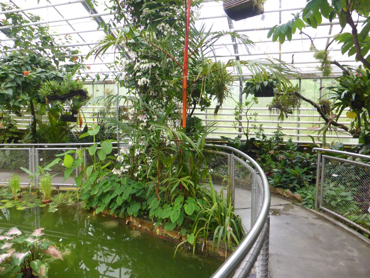 Jena_Botanischer_Garten_2025