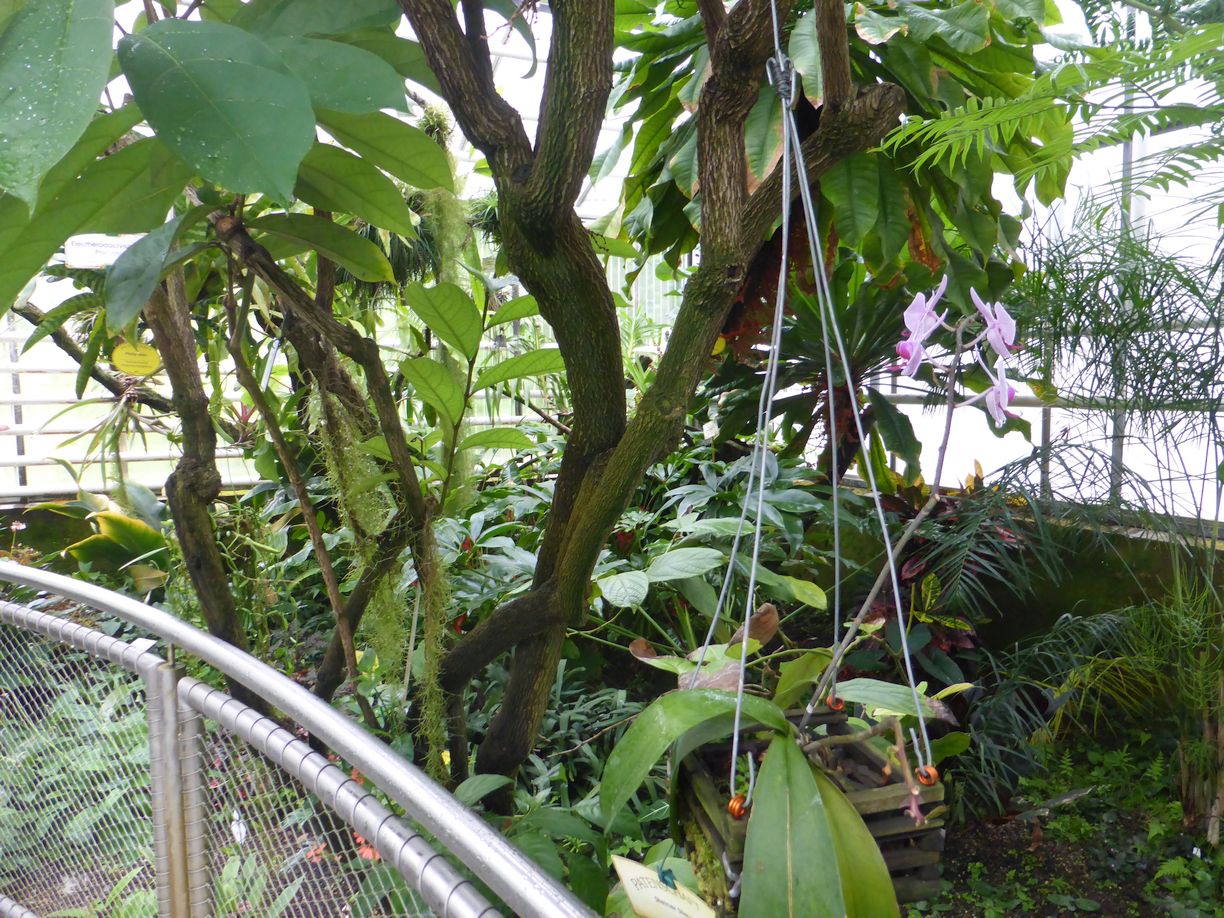 Jena_Botanischer_Garten_2025