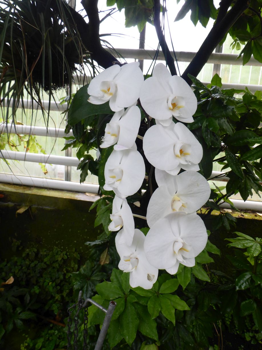 Jena_Botanischer_Garten_2025