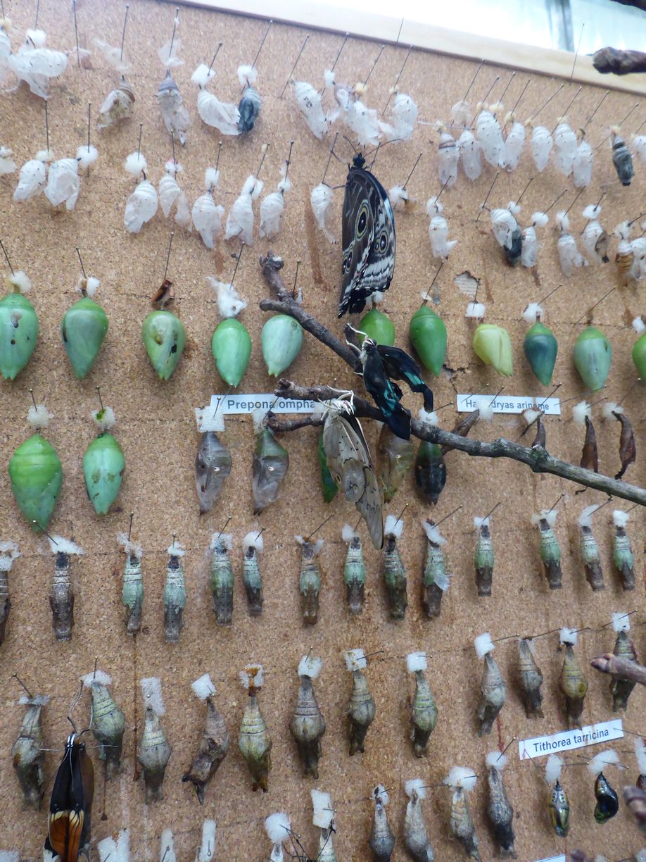 Jena_Botanischer_Garten_2025