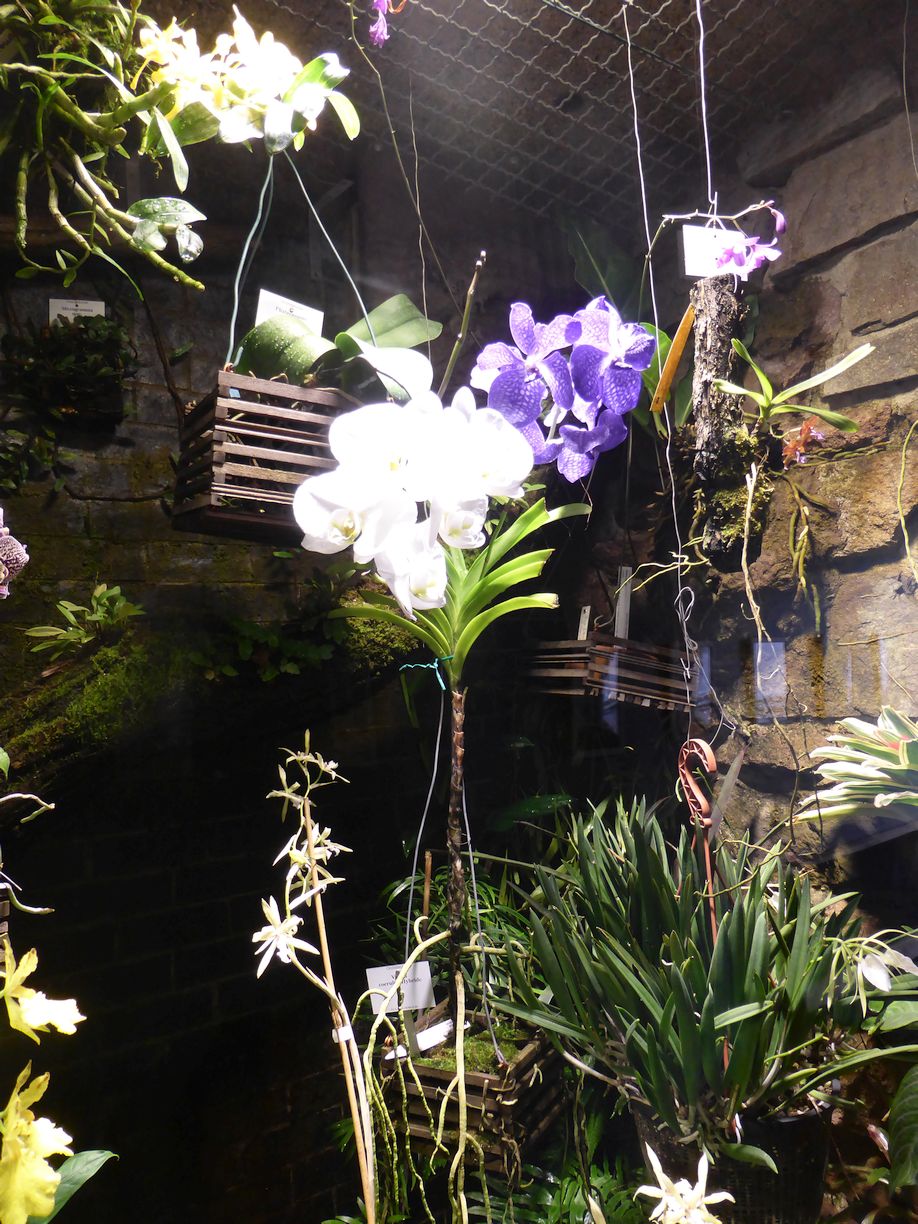 Jena_Botanischer_Garten_2025