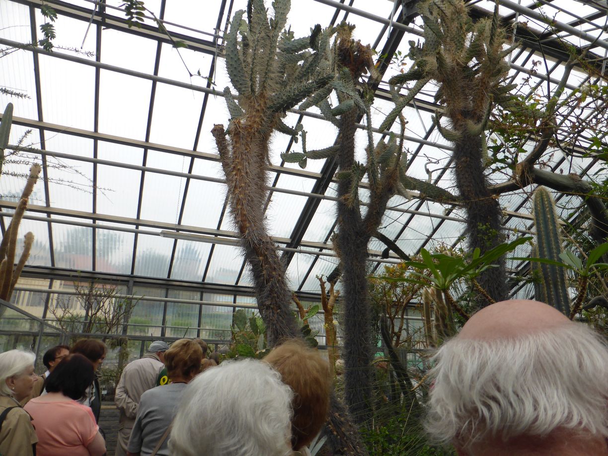 Jena_Botanischer_Garten_2025