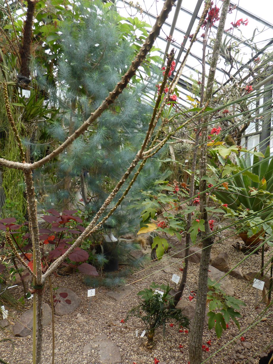 Jena_Botanischer_Garten_2025