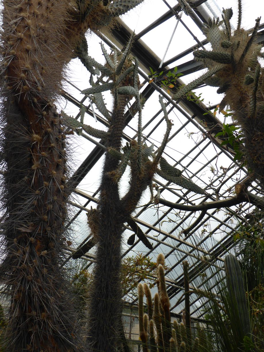 Jena_Botanischer_Garten_2025