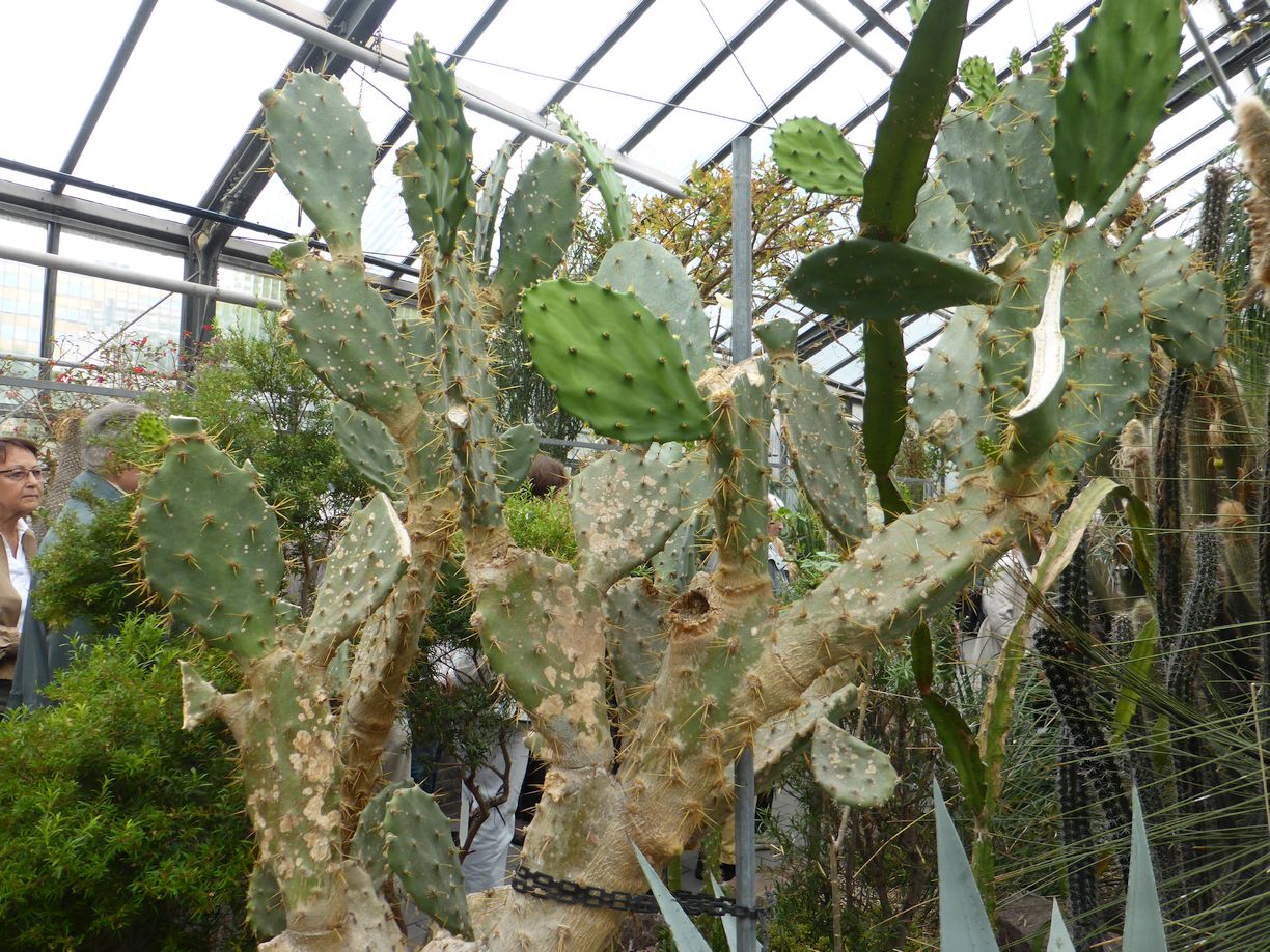 Jena_Botanischer_Garten_2025