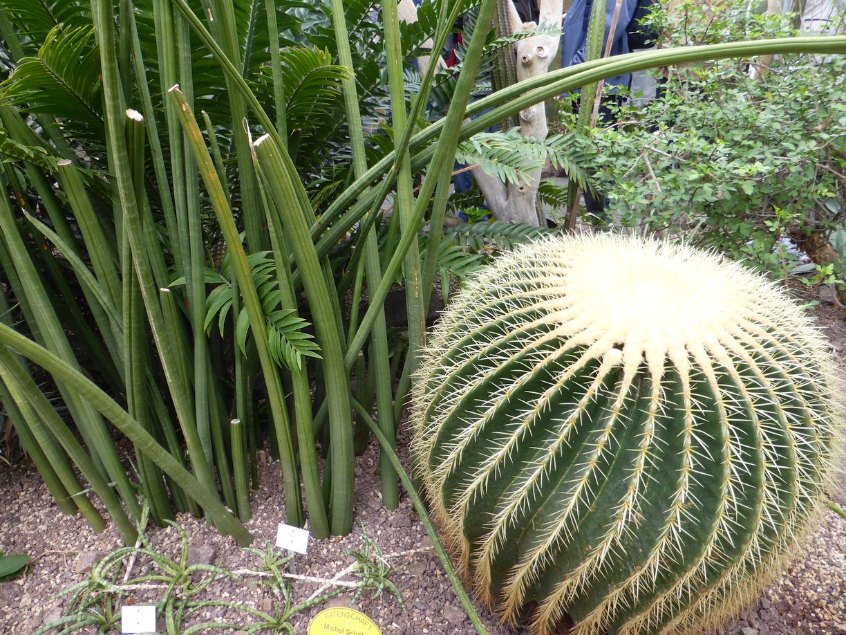 Jena_Botanischer_Garten_2025