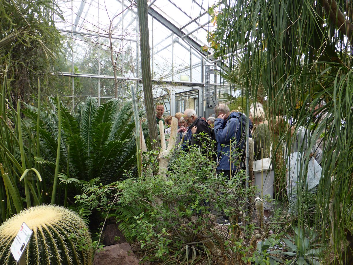 Jena_Botanischer_Garten_2025