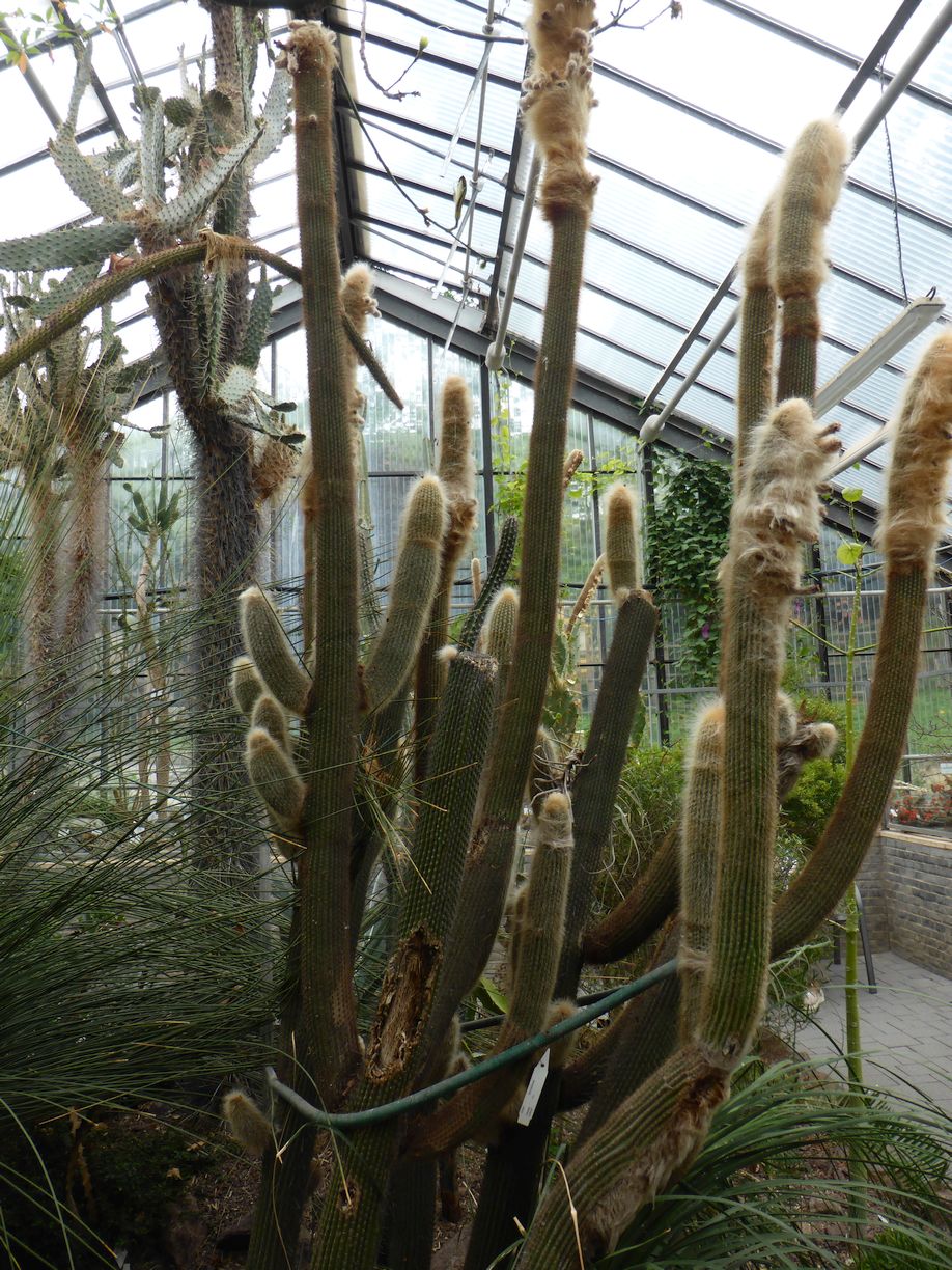 Jena_Botanischer_Garten_2025