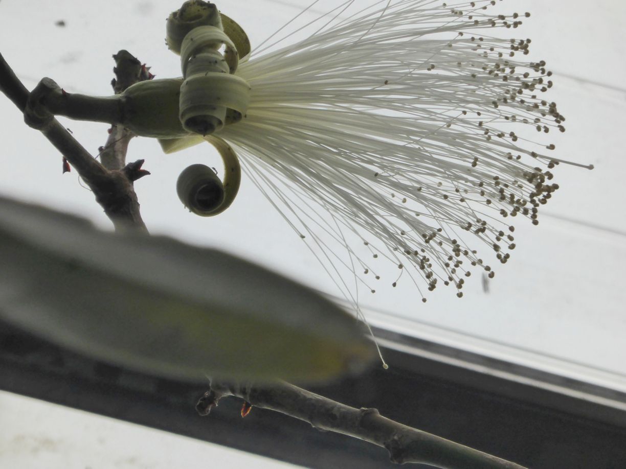 Jena_Botanischer_Garten_2025