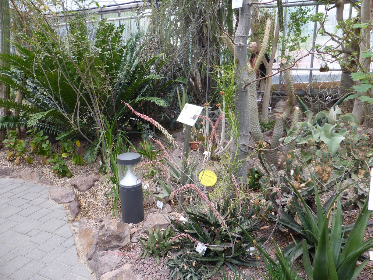 Jena_Botanischer_Garten_2025