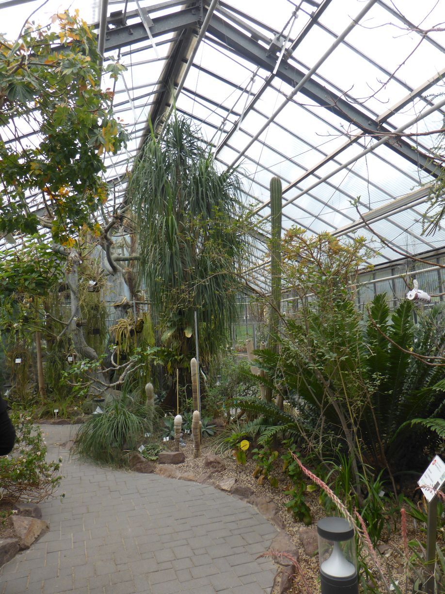 Jena_Botanischer_Garten_2025