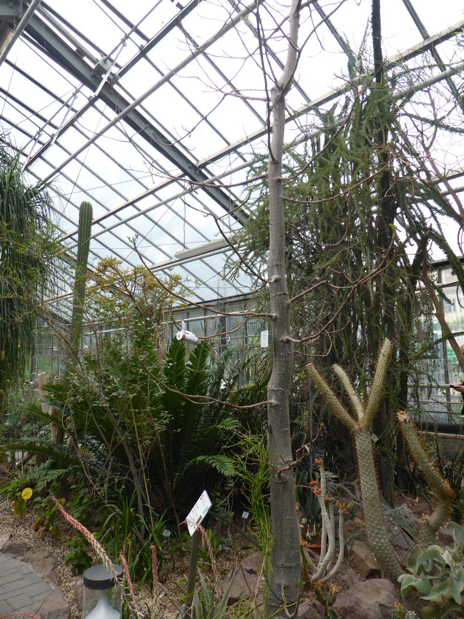 Jena_Botanischer_Garten_2025